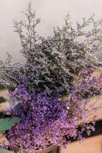 Baby’s Breath Alternatives